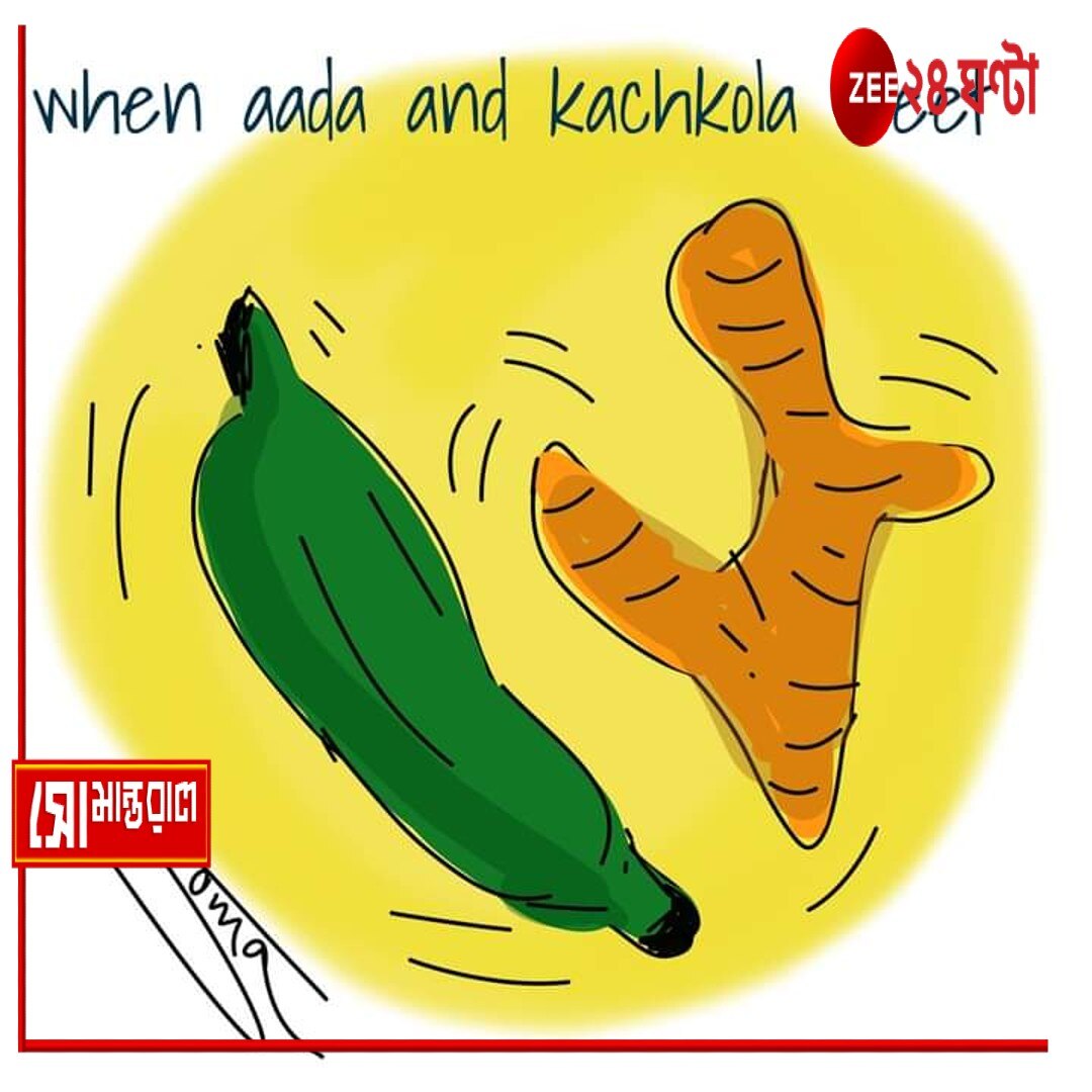 Daily Cartoon | সোমান্তরাল | আদা-কাঁচকলার ফান্ডা...