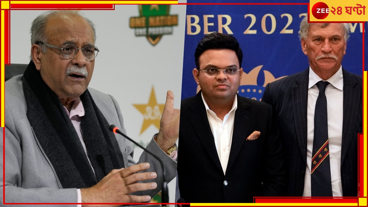 ICC ODI World Cup 2023: অচলাবস্থা কাটেনি, ভারতে বিশ্বকাপ খেলা নিয়ে পাক সরকারের দিকে বল ঠেলে দিল পিসিবি 