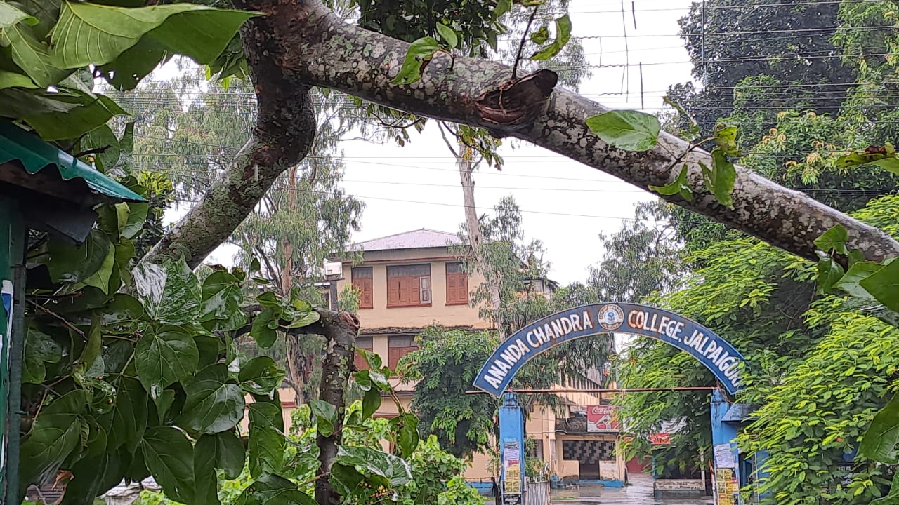 North Bengal Heavy Rain