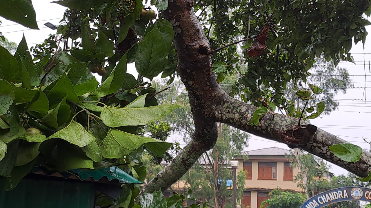 North Bengal Heavy Rain