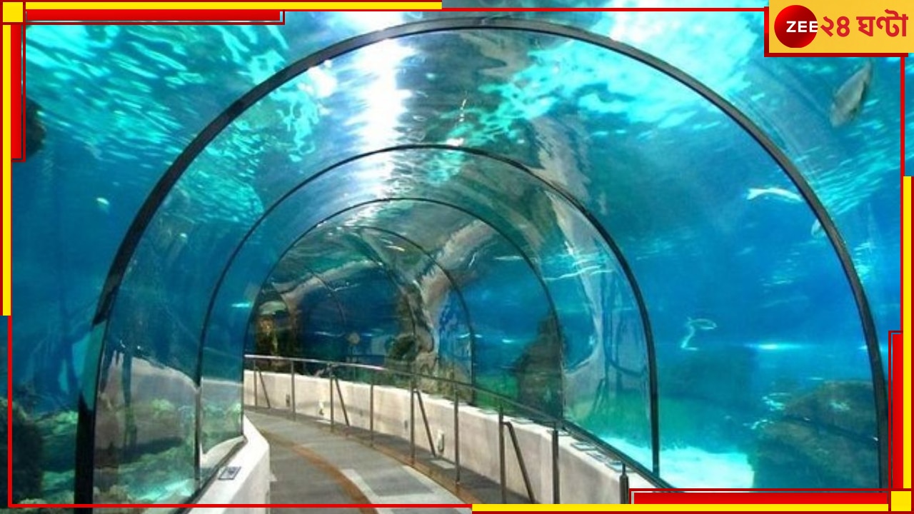 Underwater Metro In Kolkata: অচিরেই কল্লোলিনী কলকাতায় চালু হচ্ছে ভারতের প্রথম আন্ডারওয়াটার মেট্রো...