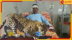 কী হয়েছে দেখতে গিয়ে একটু এগোতেই ঝাঁপিয়ে পড়ল বাঘটি...