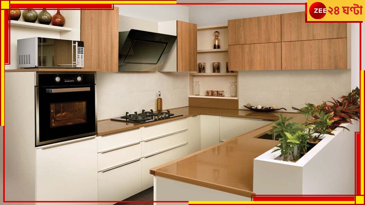 Vastu Tips for Kitchen: রান্নাঘরে কড়াই বা প্যান উল্টে রাখেন? সাবধান! কী ঘটতে পারে জানলে আঁতকে উঠবেন