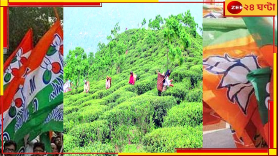 WB Panchayat Election 2023 Results: উত্তরে জোর পাচ্ছে ঘাসফুল, বিজেপির মন্ত্রী হারলেন নিজের বুথেই...