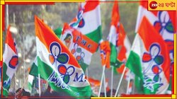বিরোধী শূন্য ৯ জেলা, তৃণমূলের জয়জয়কার জেলা পরিষদে