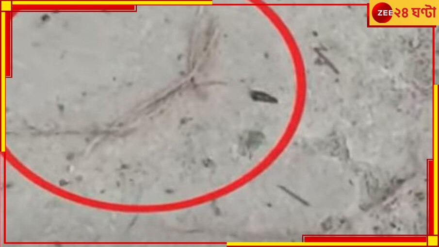 WB Panchayat Election Result 2023: ফের বিস্ফোরণ ভাঙড়ে! বোমা ফেটে আহত নাবালক-সহ ৪