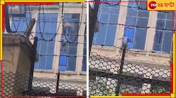 আগুনগ্রাসে বহুতল, প্রাণ বাঁচাতে তিনতলা থেকেই ঝাঁপ দিলেন ব্যক্তি