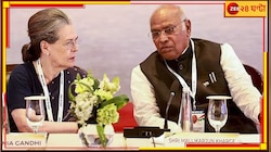 'আমরা ক্ষমতা বা প্রধানমন্ত্রী পদে আগ্রহী নই', স্পষ্ট বার্তা কংগ্রেসের