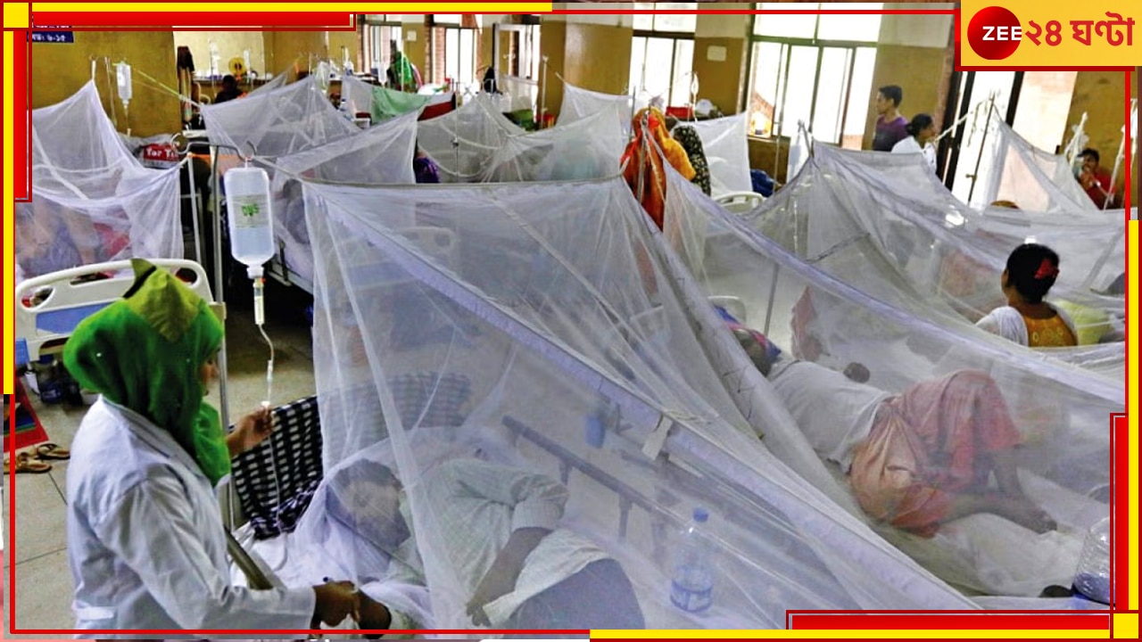 Dengue in Bangladesh: মহামারির আকার নিচ্ছে ডেঙ্গি! রোগীর চাপ সামলাতে এবার হাসপাতালে &#039;গেটকিপিং&#039; 
