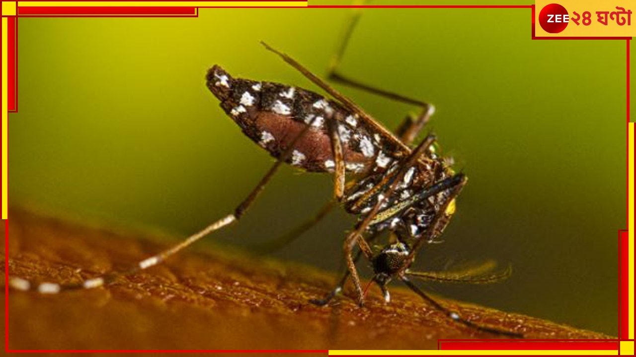 Dengue: আক্রান্তের সংখ্যা হাজারেরও বেশি! কলকাতায় ডেঙ্গিতে মৃত্যু শিশুর