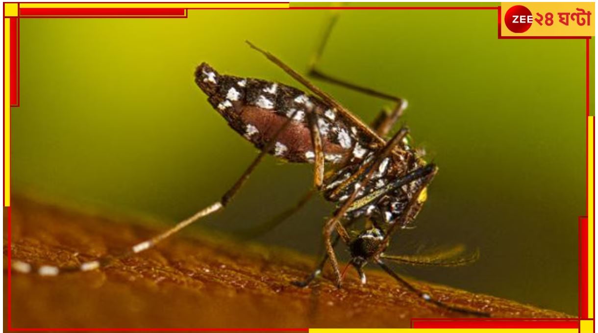 Dengue: কলকাতায় ফের ডেঙ্গিতে মৃত্যু! জরুরি বৈঠক ডাকলেন মেয়র