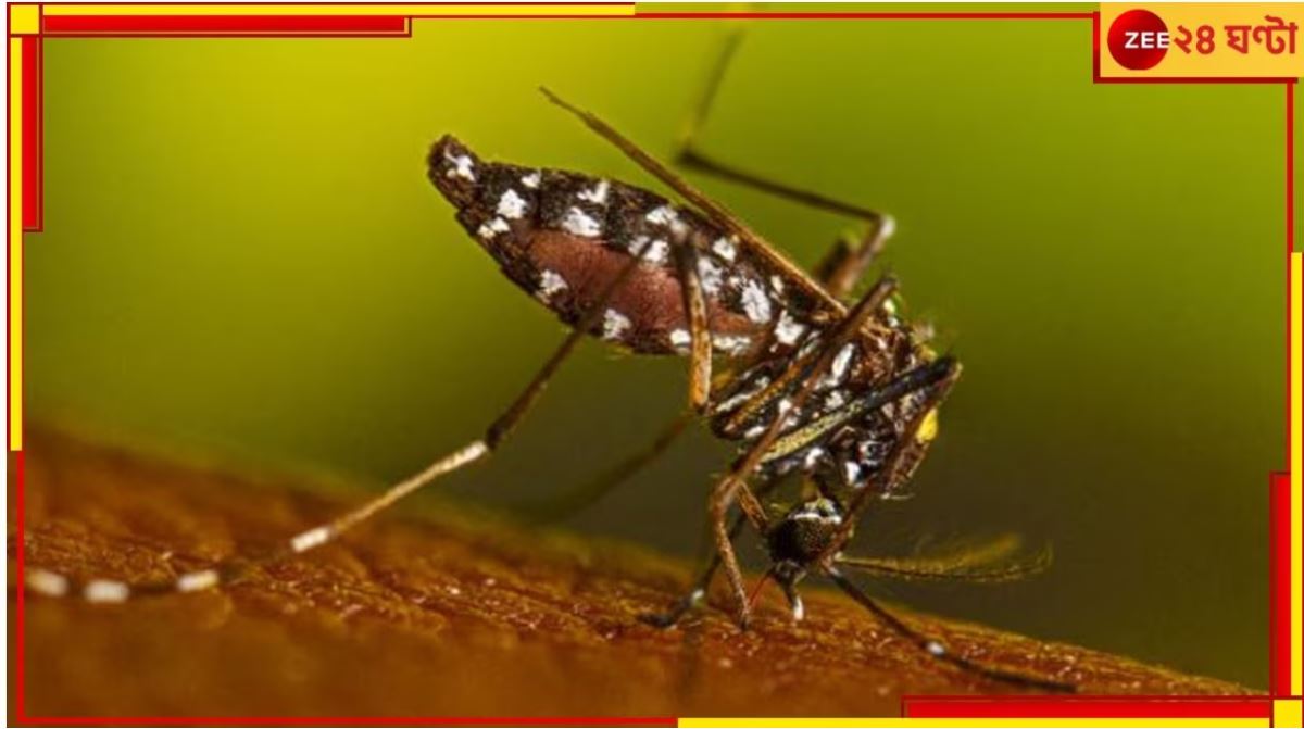Dengue: ফের ডেঙ্গিতে মৃত্যু! পুরসভার নজরে বেসরকারি ল্যাব, বৃহস্পতিবার নবান্নে বৈঠক