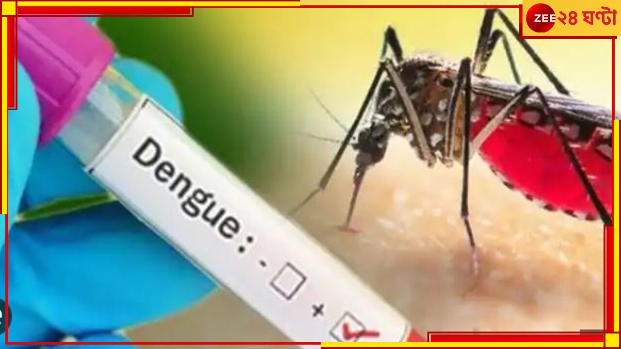 Dengue: ২৪ ঘণ্টার ফিভার ক্নিনিক, ডেঙ্গি মোকাবিলায় জারি একগুচ্ছ নির্দেশিকা....