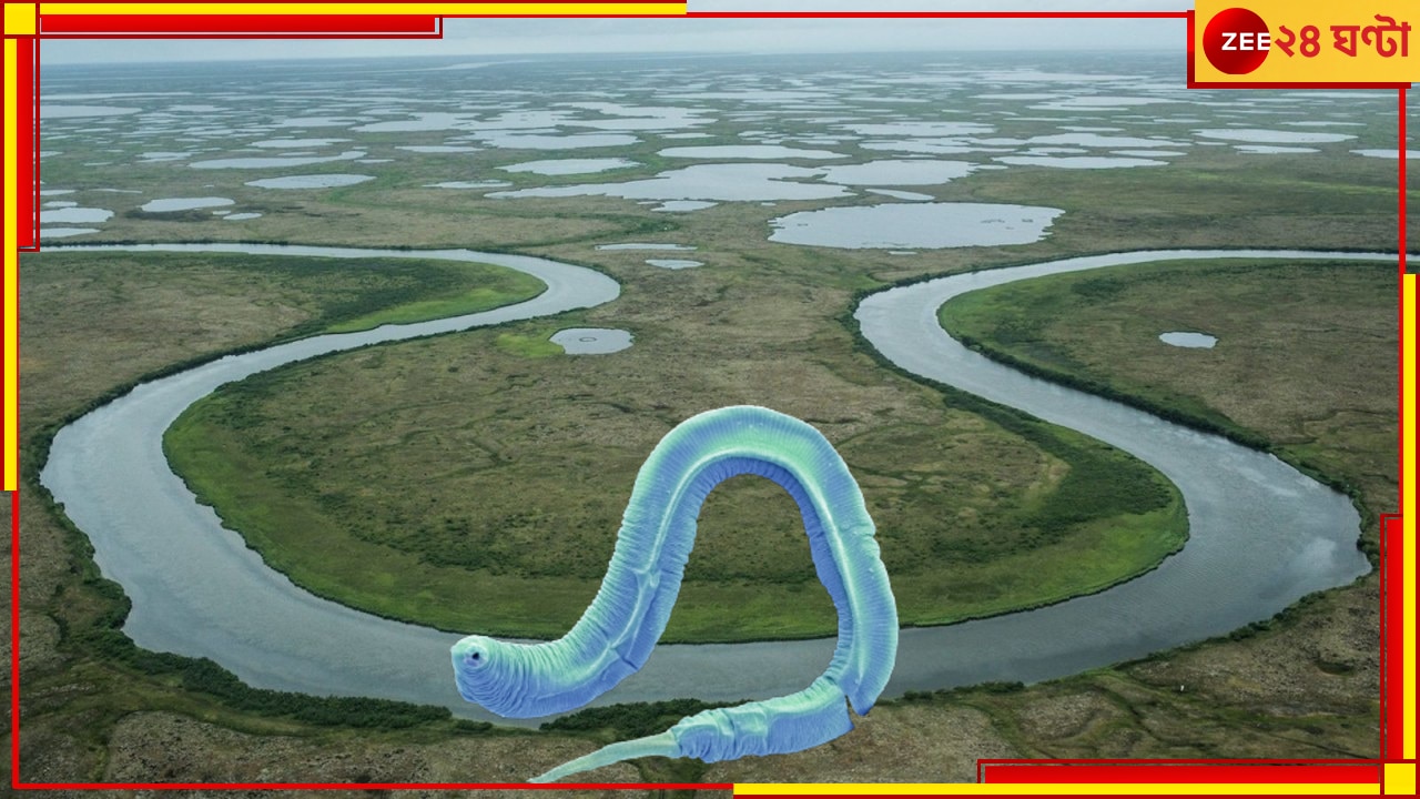 Siberian Permafrost: জাদু, না রহস্য? ৫০ হাজার বছরের কীট আজও দিব্যি বেঁচে বরফের পেটের ভিতরে!