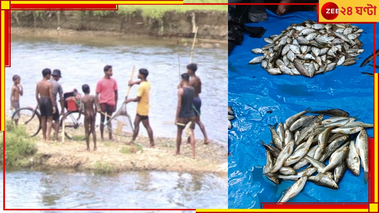 Jalpaiguri: ইলেকট্রিক শক দিয়ে মাছ শিকার! কে পদক্ষেপ করবে? বন দফতর নাকি মৎস্য দফতর?