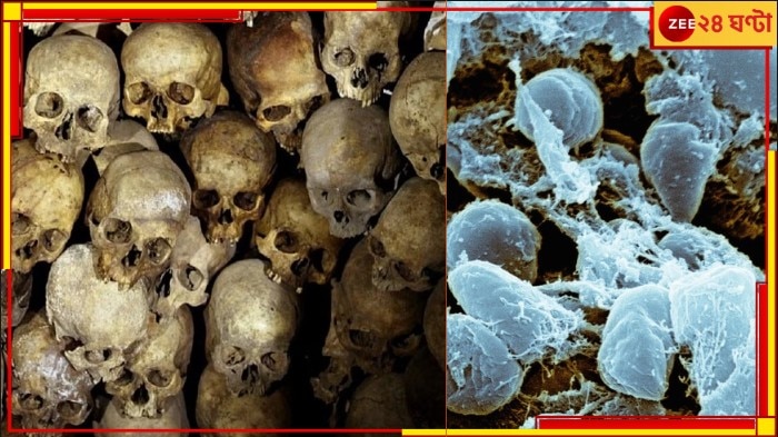 Bubonic Plague: করোনার থেকেও মারাত্মক এই ‘ব্ল্যাক ডেথ’! এ থেকেও হতে পারে ভয়ংকর মহামারি…