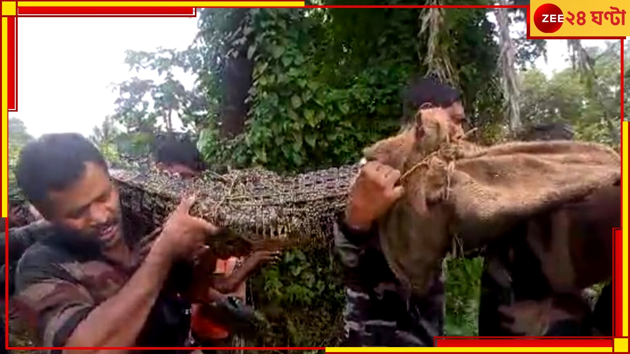 Crocodile caught: পাড়ায় রাস্তায় লম্বা হয়ে শুয়ে কুমীর, মানুষের আওয়াজ পেয়েই লাফ দিল পুকুরে...  