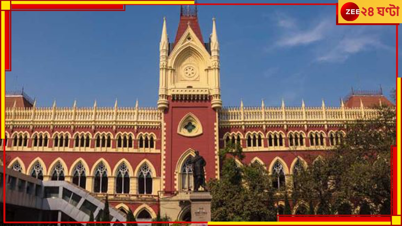 Calcutta High Court:  কলকাতার উপকণ্ঠে অনুমোদনহীন স্কুল! তাজ্জব হাইকোর্টের বিচারপতি