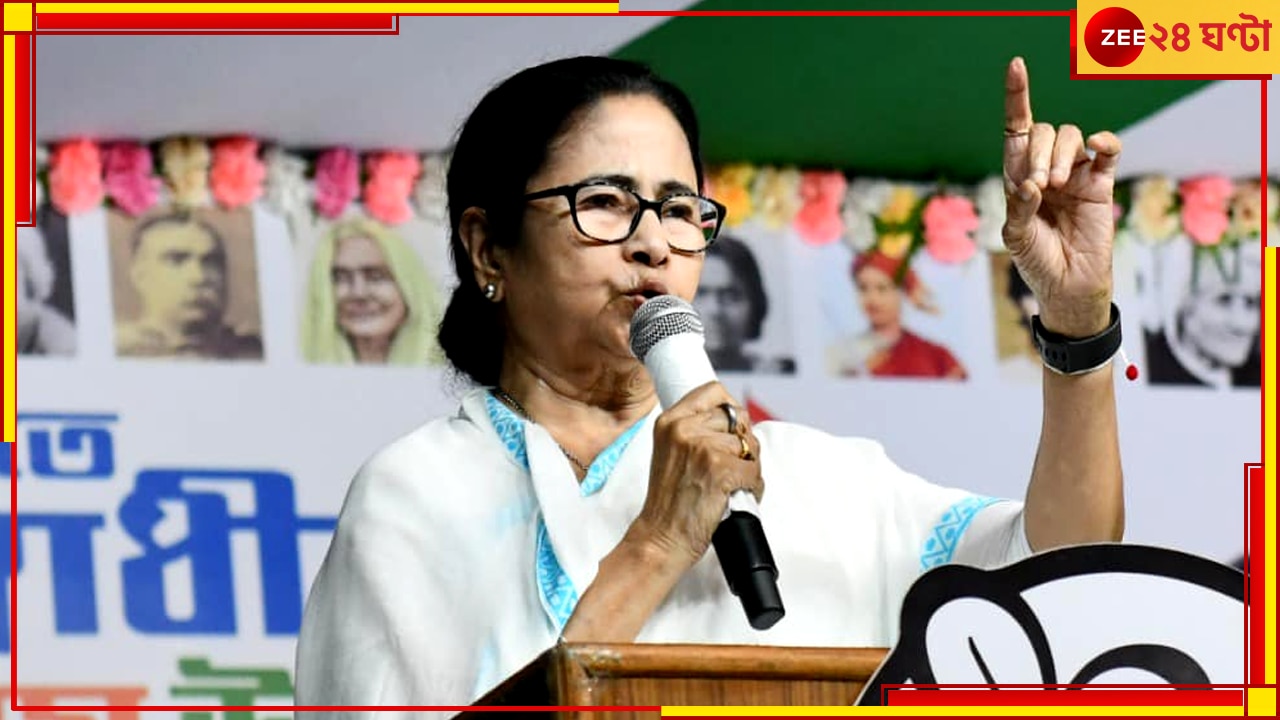 Mamata Banerjee:  &#039;প্রতিহিংসার রাজনীতি, অভিষেককে ওরা অহেতুক ডিসটার্ব করছে&#039; 