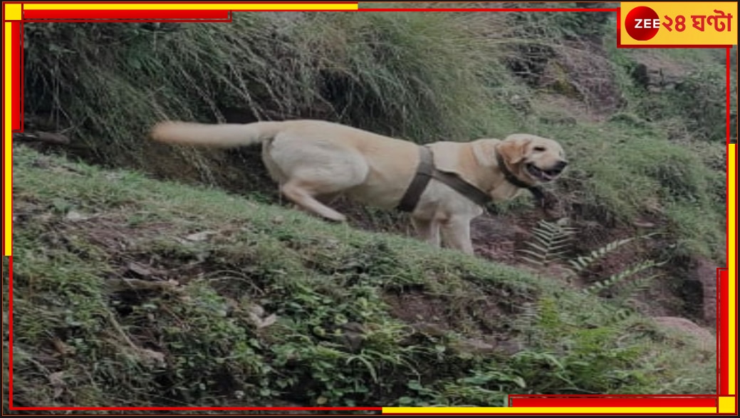 Army Canine Kent Dead: রাজৌরির গুলির লড়াইয়ে জওয়ানদের বাঁচিয়ে শহিদ সেনা কুকুর কেন্ট
