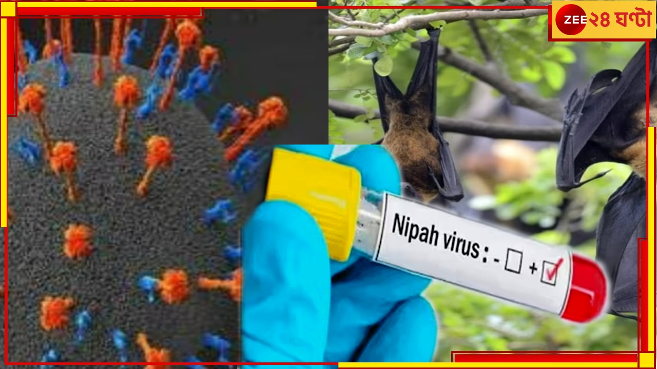 Nipah Virus: রাজ্যে নিপা ভাইরাসে আক্রান্ত ৫; সন্দেহের তালিকায় ৭৭, লকডাউনের পথে কেরালা! 