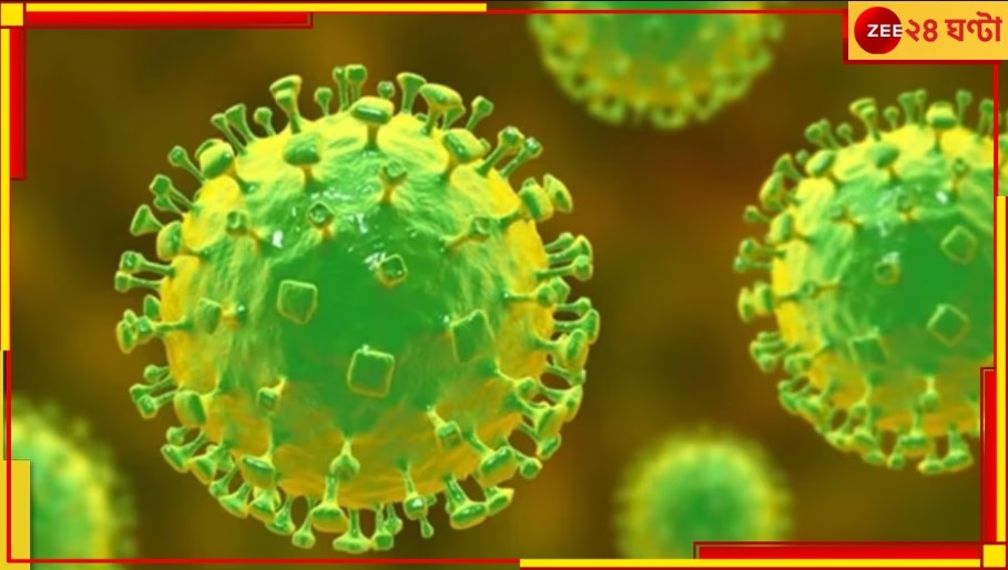 Nipah Virus: কোভিড ভয়ংকরতম ছিল কিন্তু ‘নিপা’র মারণক্ষমতা এর চেয়েও অবিশ্বাস্য বেশি! কত? জানলে আঁতকে উঠবেন…