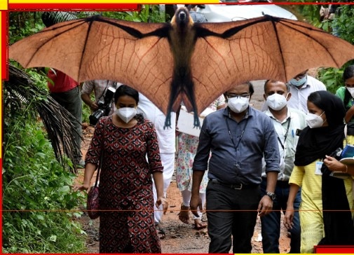 Nipah Virus: নমুনা-রিপোর্ট নেগেটিভ, কিন্তু নিপা-আতঙ্ক থেকে কি সত্যিই মুক্ত শহর-কলকাতা?