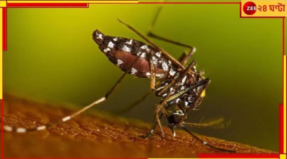 Dengue Death: পুজোর মুখে শহরে ডেঙ্গির বাড়বাড়ন্ত! যাদবপুরে মৃত্যু কিশোরীর...