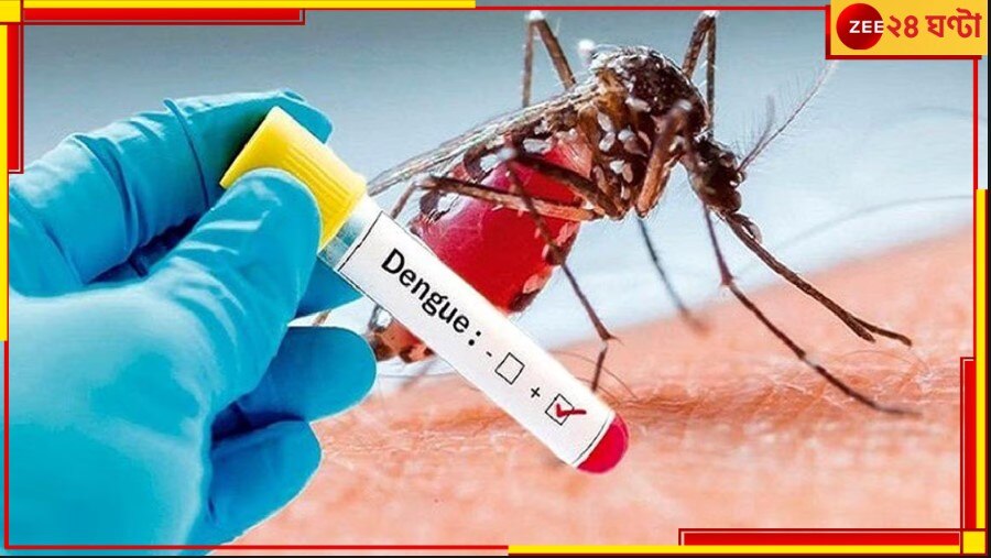 Dengue Death: ফের ডেঙ্গিমৃত্যু শহরে, মৃতের সংখ্যা বেড়ে ৬...