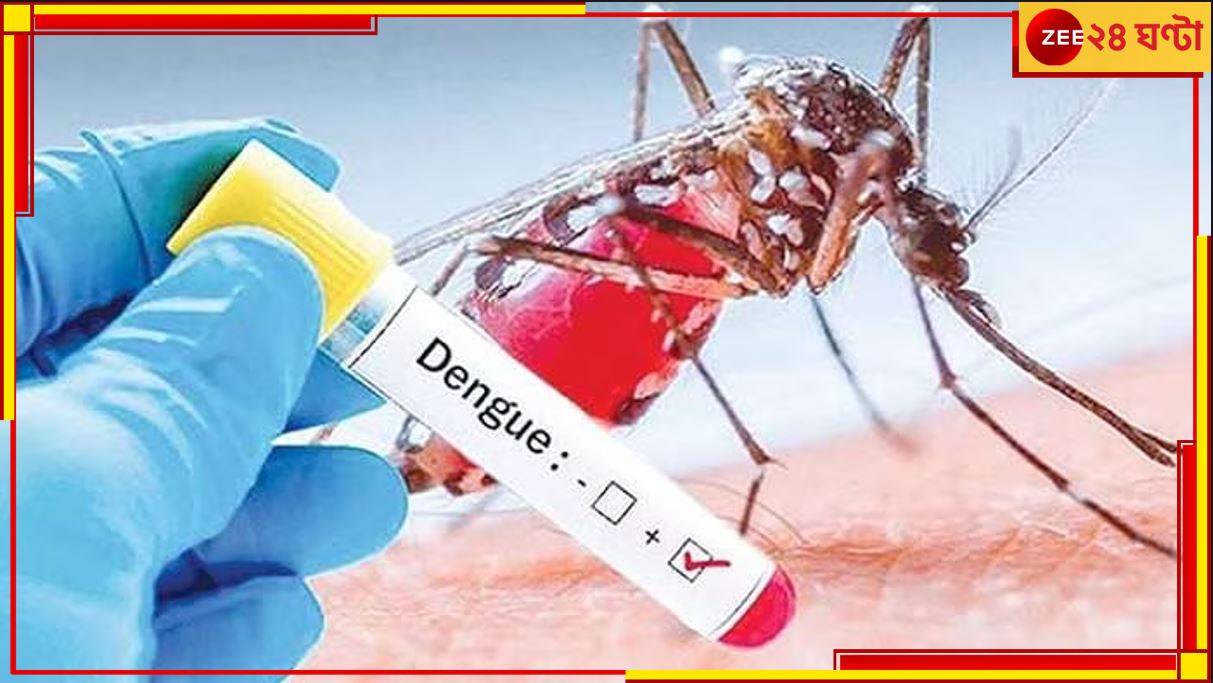 Dengue Meeting: ডেঙ্গি পরিস্থিতি বেগালাম! মুখ্যমন্ত্রী নির্দেশে নবান্নে জোড়া বৈঠক