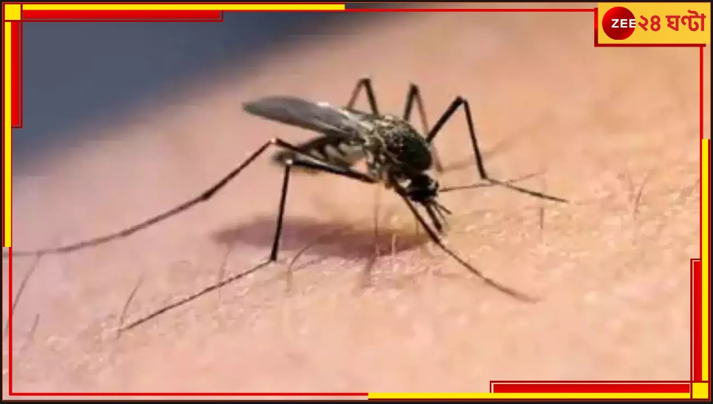 Dengue Death | Kolkata: ফের ডেঙ্গির বলি কলকাতায়, বেসরকারি নার্সিংহোমে মৃত ১৭ বছরের কিশোর