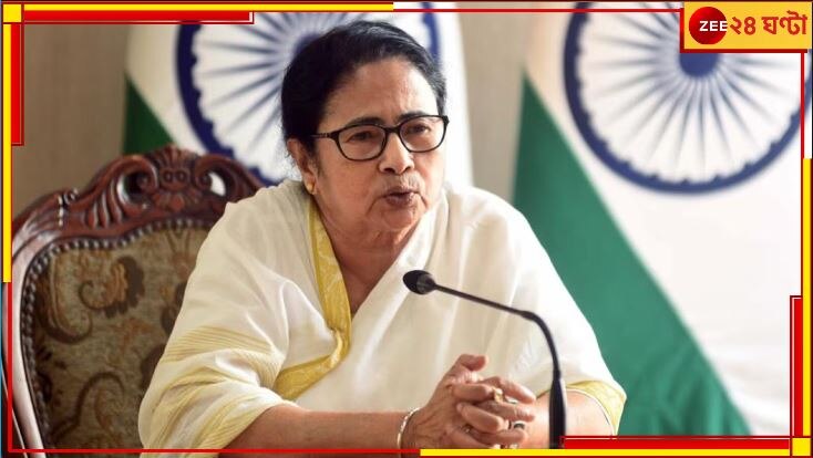 Dengue, Mamata Banerjee: &#039;ভোল পালটেছে মশা,&#039; ভার্চুয়াল বৈঠকে মুখ্যমন্ত্রী! ডেঙ্গি নিয়ন্ত্রণে একগুচ্ছ নির্দেশ