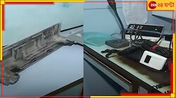 চিকিৎসায় গাফিলতিতে রোগীমৃত্যু? কলকাতায় নার্সিংহোমে ভাঙচুর...