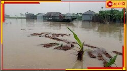 তিস্তায় লাল সতর্কতা জারি! ভাসছে প্রায় গোটা বাংলাই, সর্বত্র জল ঢুকছে তীব্র গতিতে...