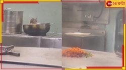 ট্রেনের প্যান্ট্রিতে ঘুরে বেড়াচ্ছে ইঁদুর, খুঁটে খাচ্ছে যাত্রীদের খাবার!