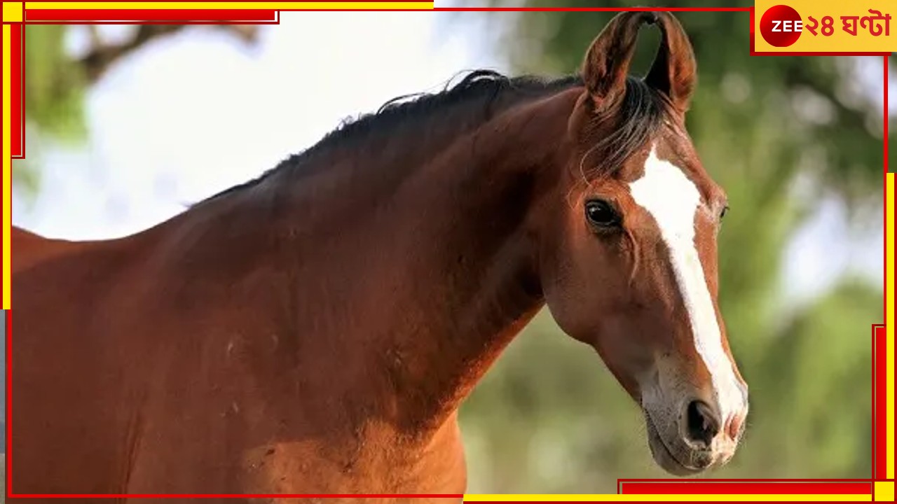 Horse Rape: যোগী রাজ্যে ঘোড়াকে &#039;গণধর্ষণ&#039;! অভিযুক্ত ৫