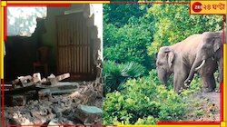 ধ্বংসলীলা! ধান, চাল, আটা, আনাজপাতি নিমেষের মধ্যে সাবাড় করল হাতির পাল...