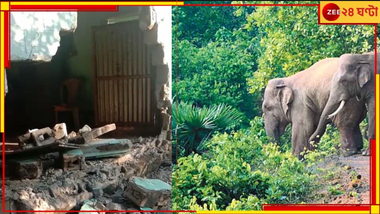 Malbazar: ধ্বংসলীলা! ধান, চাল, আটা, আনাজপাতি নিমেষের মধ্যে সাবাড় করল হাতির পাল... Malbazar: ধ্বংসলীলা! ধান, চাল, আটা, আনাজপাতি নিমেষের মধ্যে সাবাড় করল হাতির পাল...