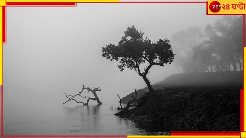 Jalpaiguri: ভোরে হিমেল বাতাস আর সন্ধে হলেই শিশিরের ছোঁয়া! সঙ্গে নলেনগুড় আর ভাপা পিঠে...