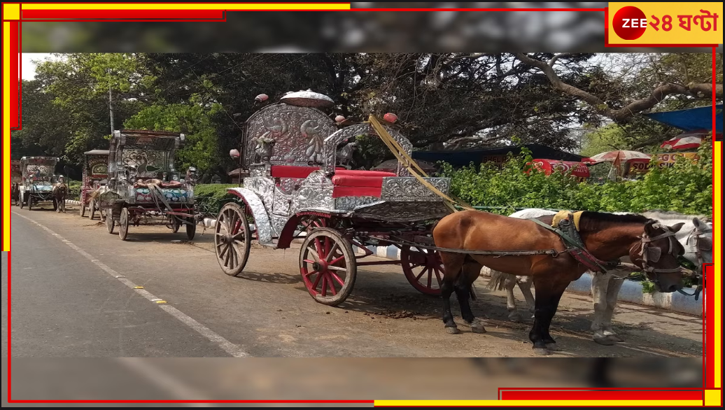 Kolkata | Horse-drawn Hackney Carriages: গড়ের মাঠে আর দেখা যাবে না ঘোড়ার গাড়ি? Kolkata | Horse-drawn Hackney Carriages: গড়ের মাঠে আর দেখা যাবে না ঘোড়ার গাড়ি?