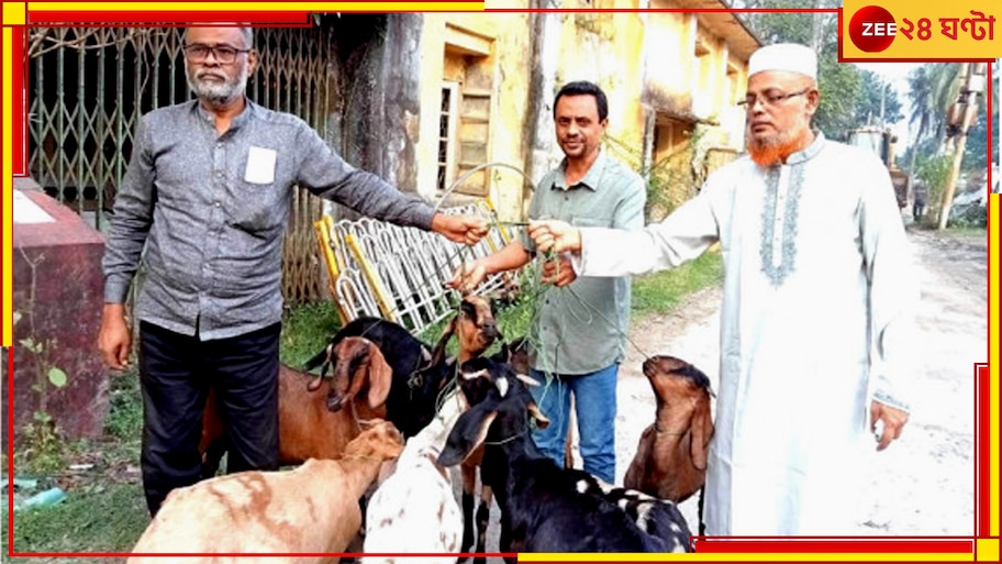 Barishal Goats Sent to Jail: এক বছর জেল খেটে ঘরে ফিরল ৯ ছাগল, কারণ জানলে তাজ্জব হবেন
