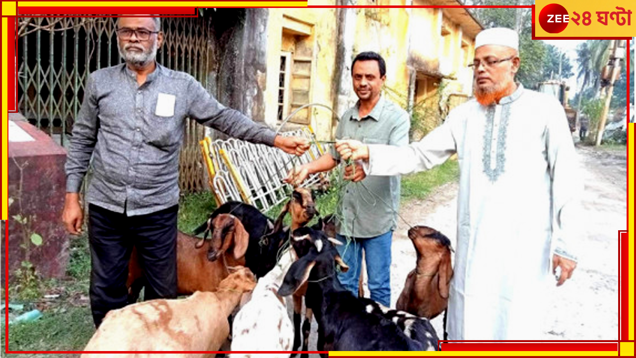 Barishal Goats Sent to Jail: এক বছর জেল খেটে ঘরে ফিরল ৯ ছাগল, কারণ জানলে তাজ্জব হবেন Barishal Goats Sent to Jail: এক বছর জেল খেটে ঘরে ফিরল ৯ ছাগল, কারণ জানলে তাজ্জব হবেন