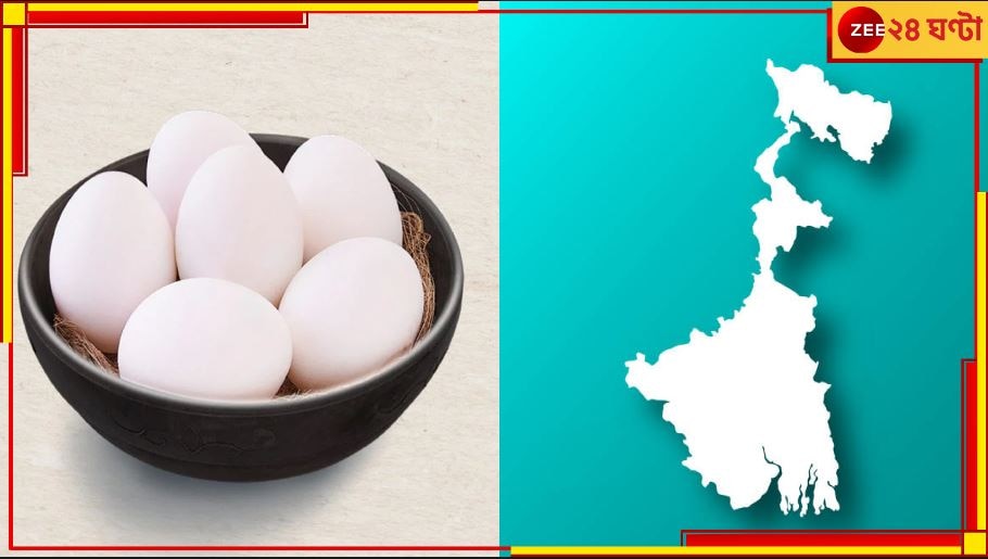 Bengal Tops Egg Production: দেশে ডিম উৎপাদনের নিরিখেও ১ নম্বর বাংলা, বলছে দিল্লির তথ্যই...