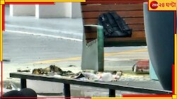দূতাবাসের বাইরে প্যালেস্টাইনের পতাকায় শরীর মুড়ে নিজেকে পোড়ালেন মহিলা...