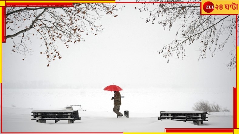 Europe: ঠান্ডায় ঠক ঠক করে কাঁপছে গোটা দেশ! তুষারের নীচে ঢাকা পড়েছে এলাকা...