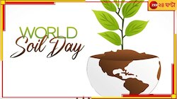 বিশ্ব মাটি দিবসে জানুন আমাদের জীবনে মাটির অপরিসীম গুরুত্ব...