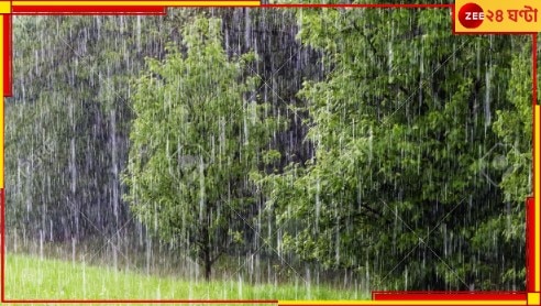 Rain in Bengal: পাকা ধান মাঠেই নষ্ট, সব্জিও ক্ষতির মুখে! শীতের মুখে হতাশ চাষিরা...