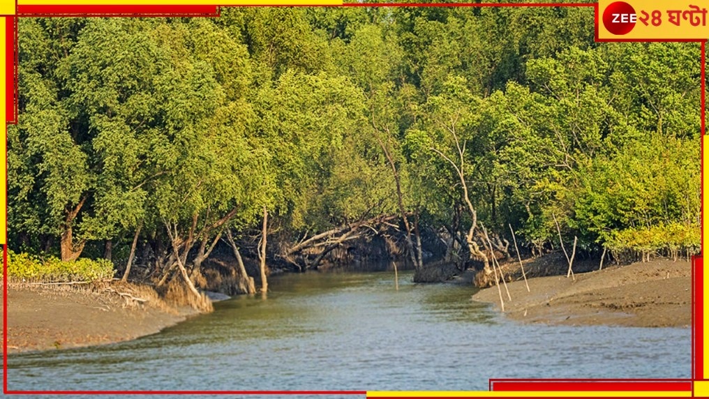 Sundarbans: ম্যানগ্রোভ কেটে তৈরি হচ্ছে মাছের ভেড়ি! দৌড়ে এল পুলিস... 