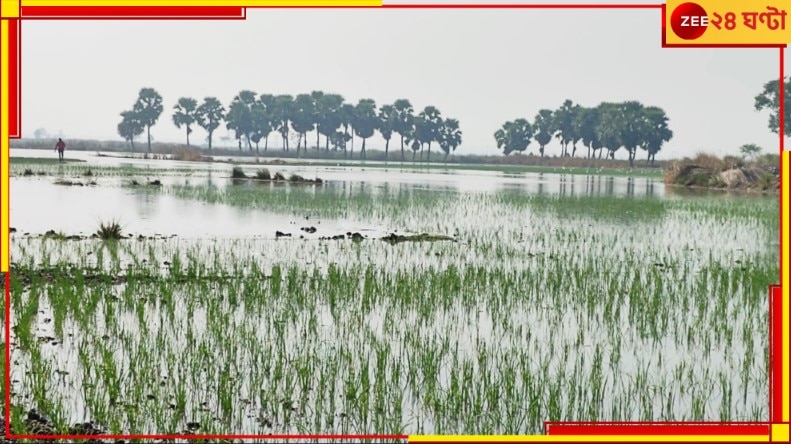 Arambagh: এবার কি আগুন-দাম হবে আলু, কাঁচালঙ্কার? অকালবৃষ্টির জলে হাবুডুবু মাঠের পর মাঠ...