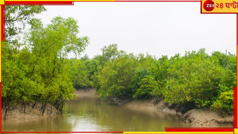 Sunderban Divas: সুন্দরবন দিবস! কেন বাদাবনকে ঘিরে উদযাপিত হয় একটি দিন?